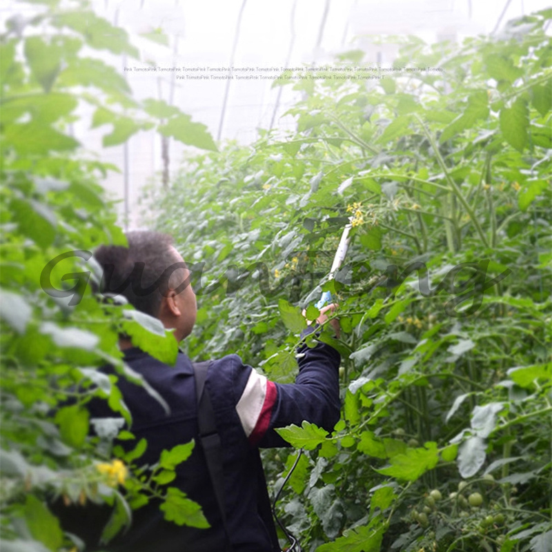 220V‑50Hz 6A Electric Vibratio - Agriculture Tomato Farming recension och pris