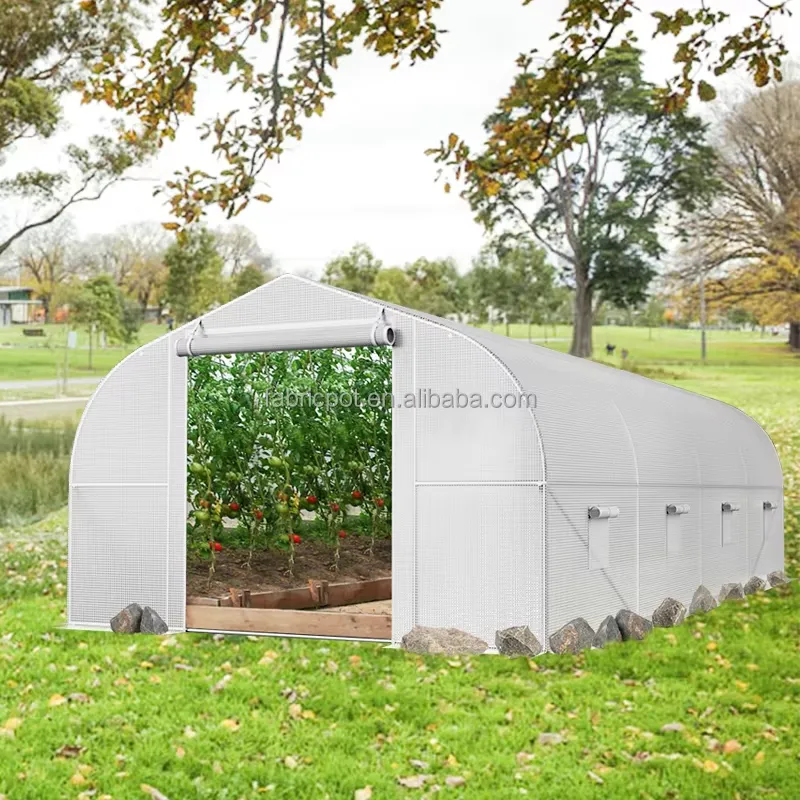 Agricultural Farm Poly Tunnel  - Agriculture Tomato Farming recension och pris