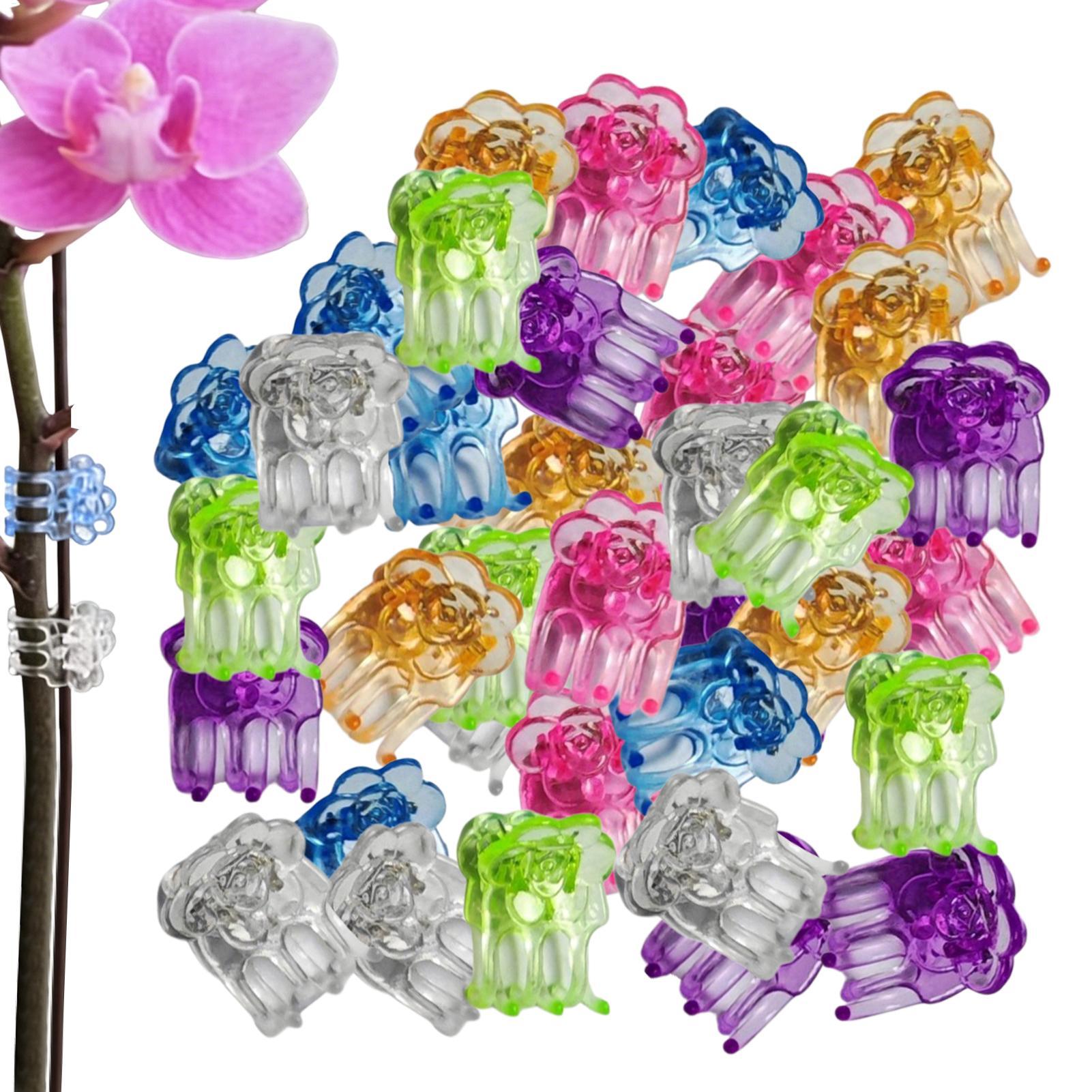 Orchid Clips 60 Pieces Butterf - Greenhouse Plastic Film recension och pris