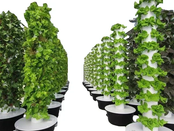 Agricultural greenhouses verti - Hydroponic Farming Agriculture recension och pris
