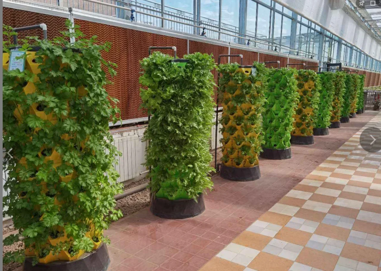 Agricultural greenhouses verti - Hydroponic Farming Agriculture recension och pris