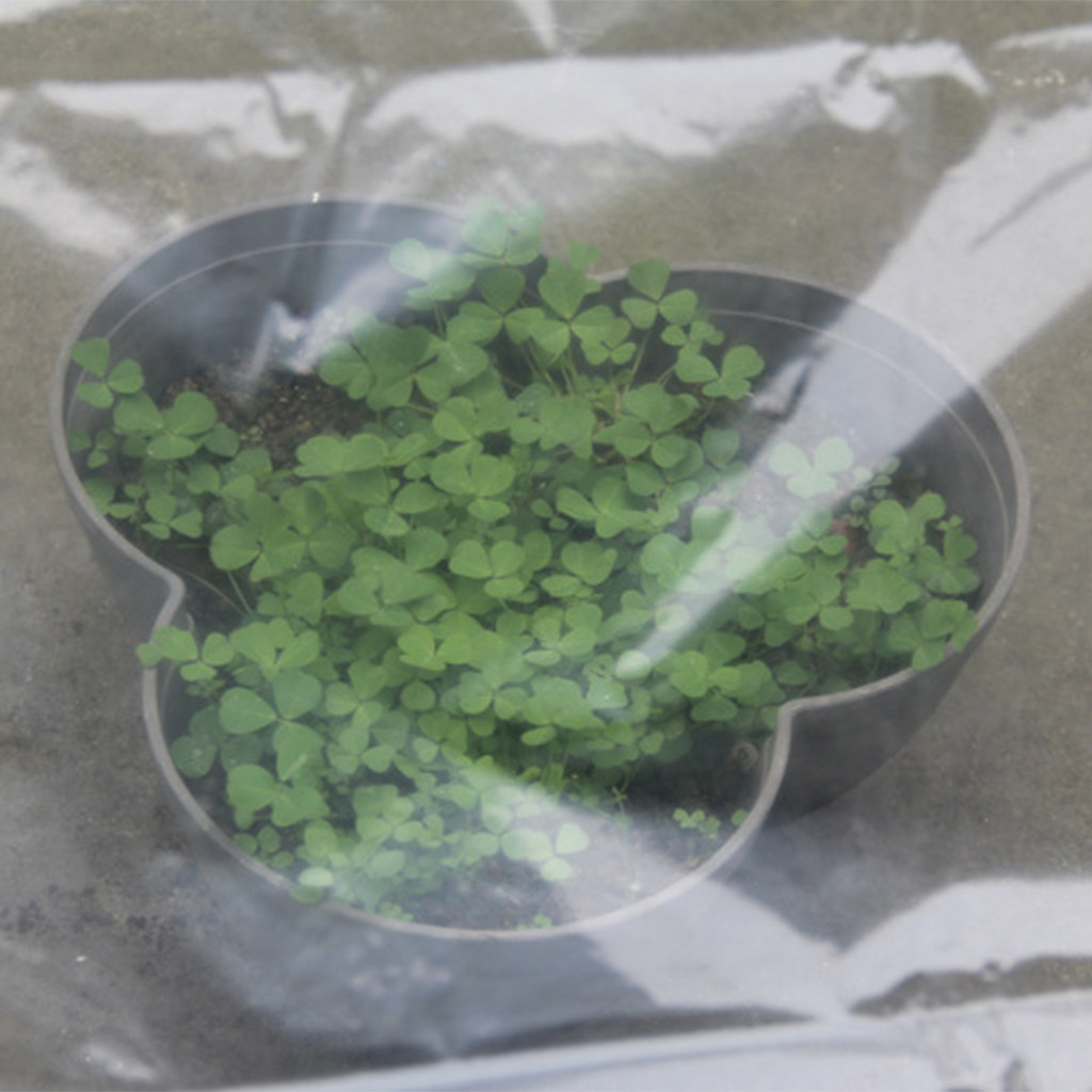 Transparent Hot House Vegetabl - Greenhouse Plastic Film recension och pris