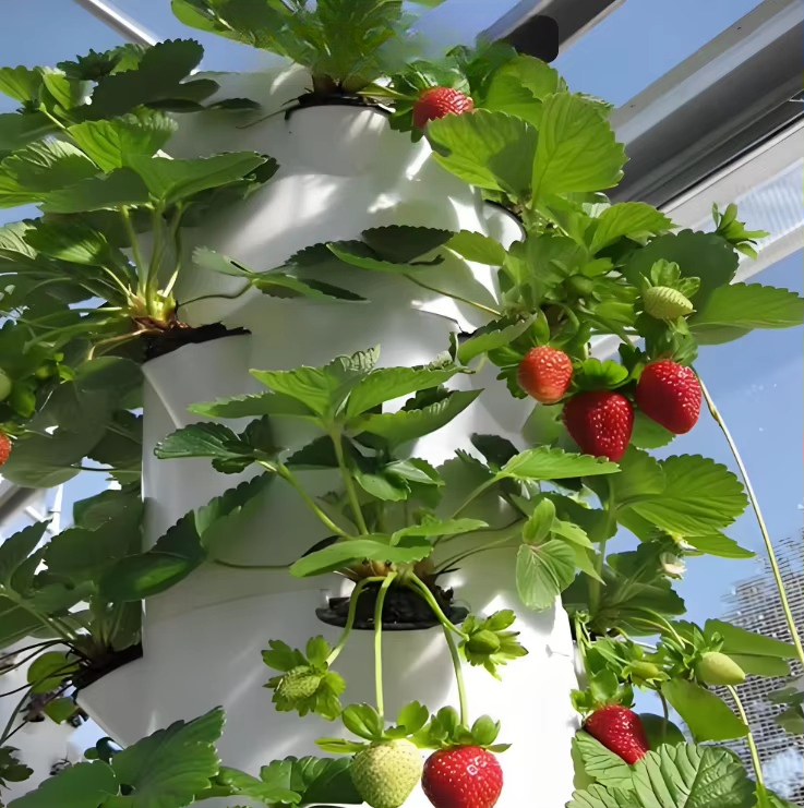 Modular hydroponic growth wall - Hydroponic Farming Agriculture recension och pris