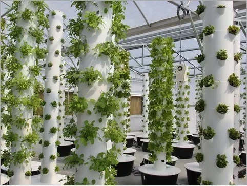 High quality agricultural home - Hydroponic Farming Agriculture recension och pris