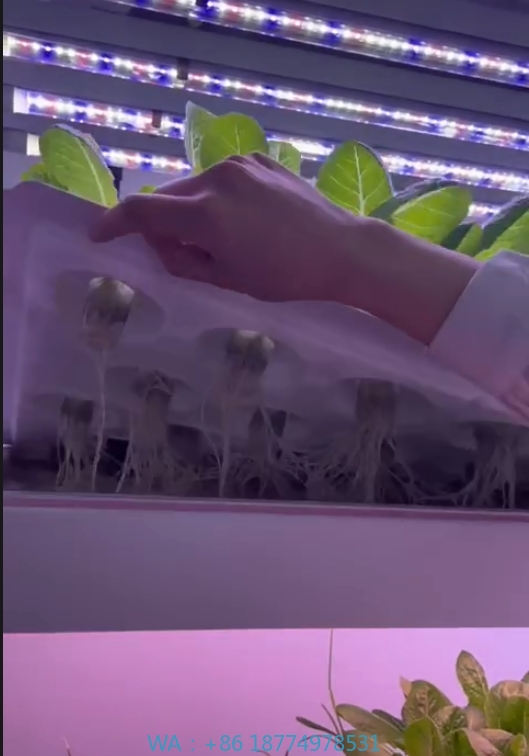 f Greenhouse Agricultural Equi - Hydroponic Farming Agriculture recension och pris