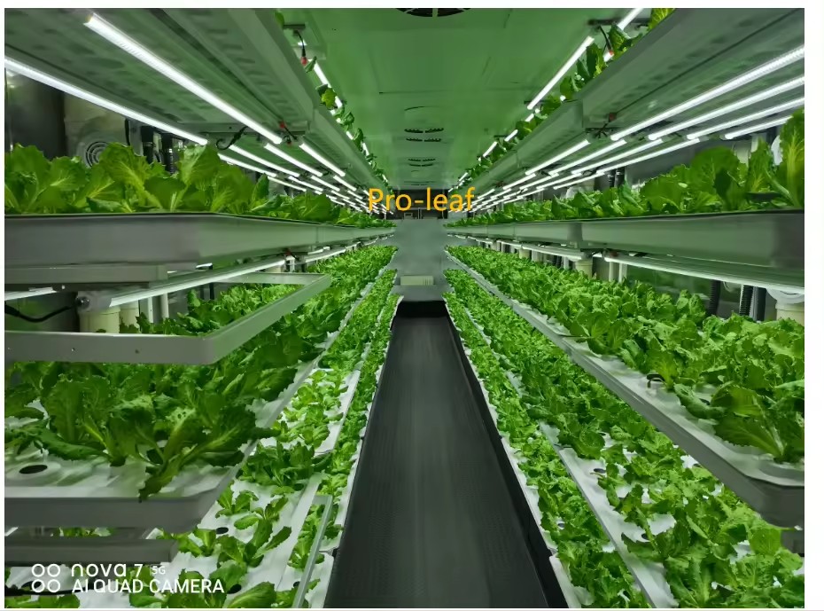 f Greenhouse Agricultural Equi - Hydroponic Farming Agriculture recension och pris