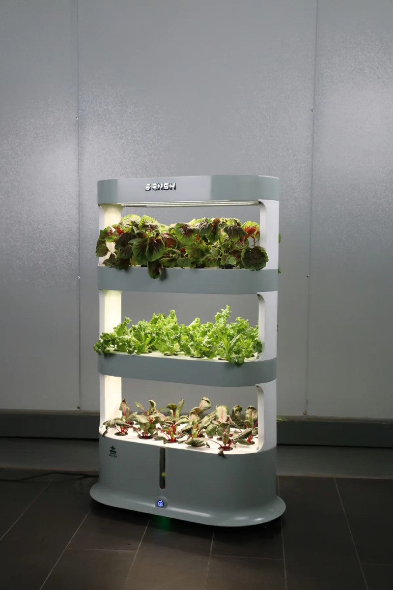 Factory Wholesale Unique Farm  - Hydroponic Farming Agriculture recension och pris