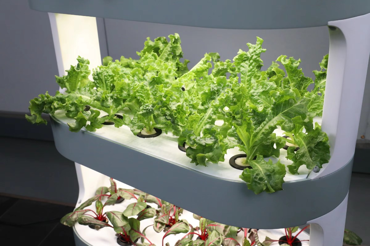 Factory Wholesale Unique Farm  - Hydroponic Farming Agriculture recension och pris