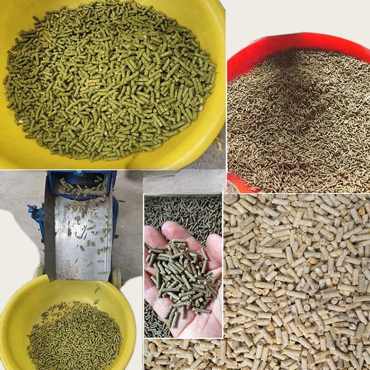 Pelletizer Machine for Animal  - Wood Pellet Making Machine recension och pris