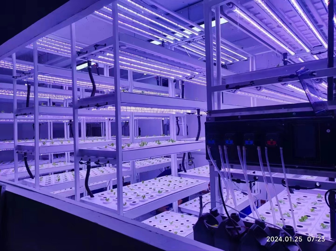 Small Vertical Hydroponic Towe - Hydroponic Farming Agriculture recension och pris