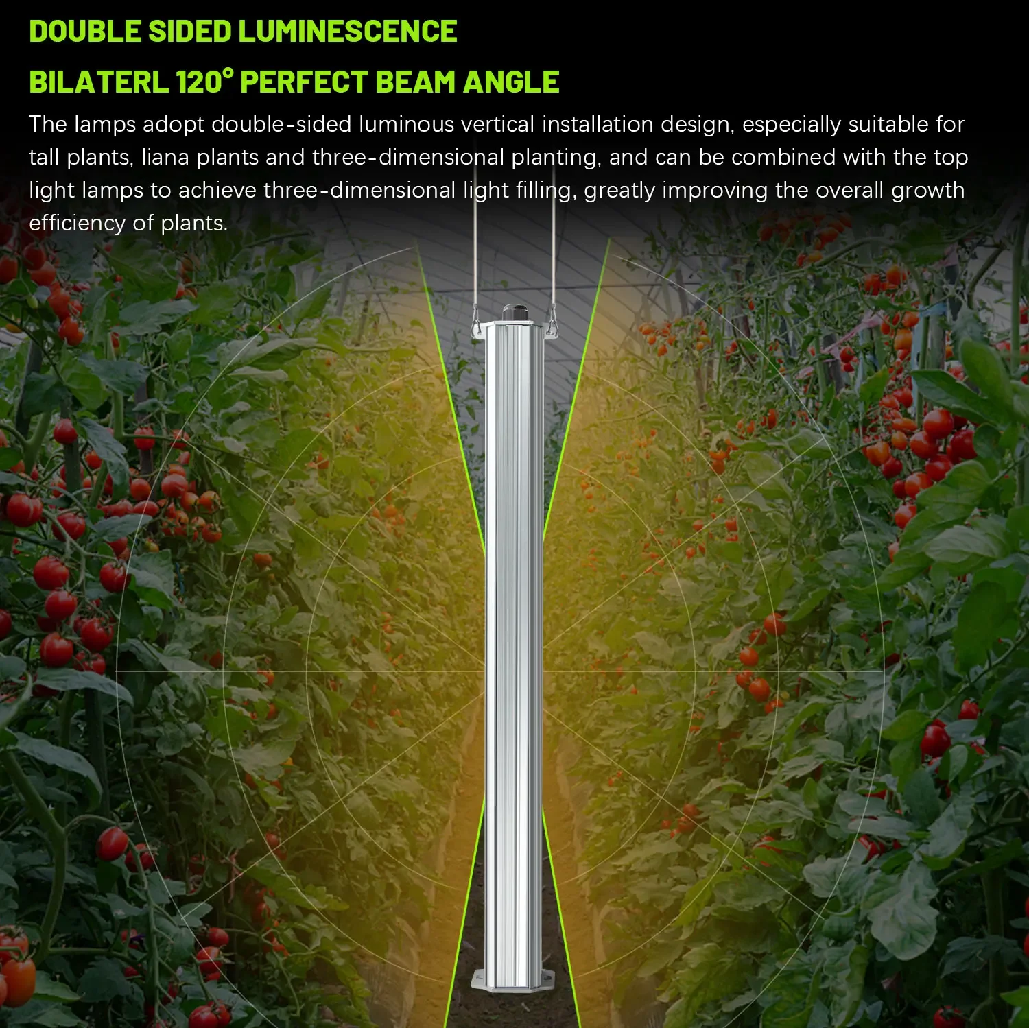 Best ETL Listed Plant Green Wa - Agriculture Tomato Farming recension och pris