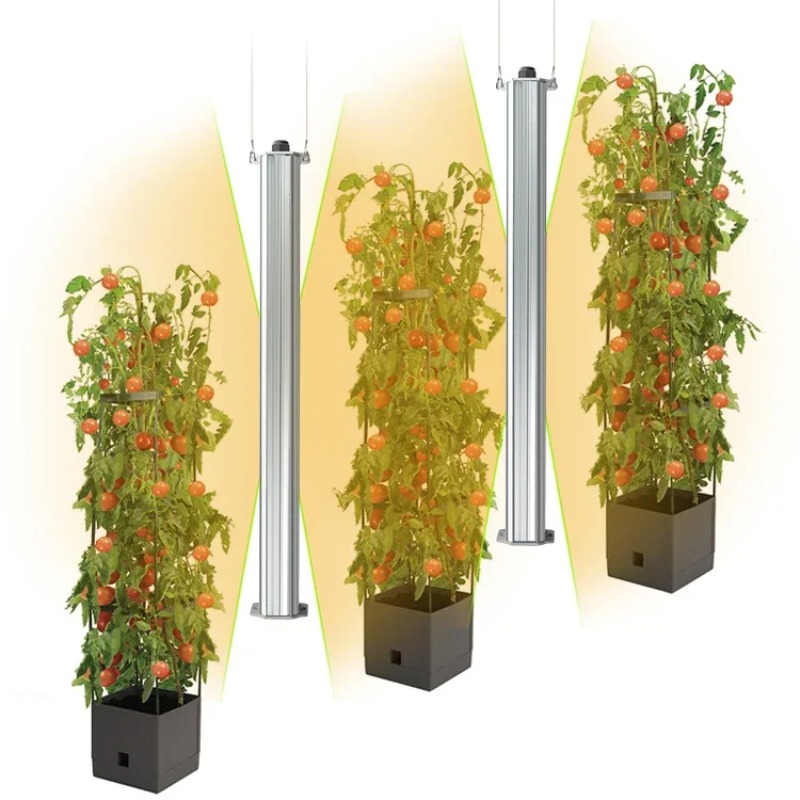 Best ETL Listed Plant Green Wa - Agriculture Tomato Farming recension och pris