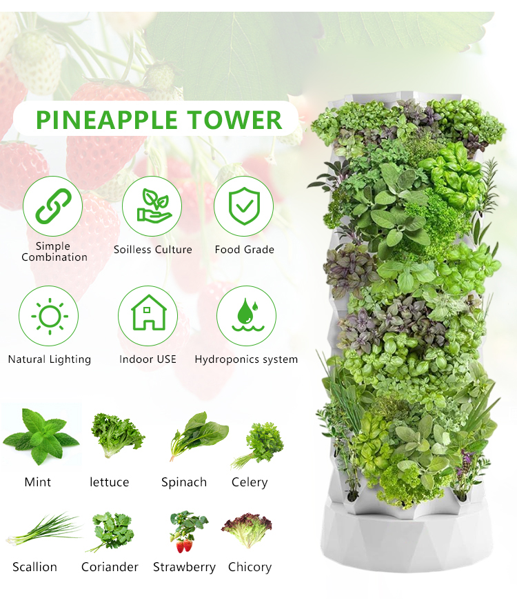Upgraded Indoor Farming Outdoo - Hydroponic Farming Agriculture recension och pris