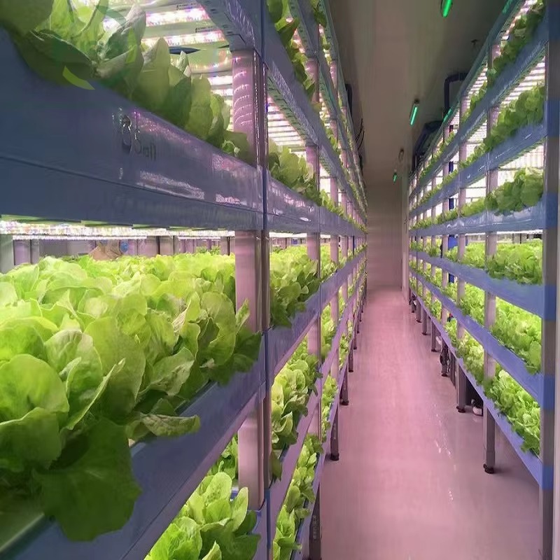 Custom Agricultural Greenhouse - Hydroponic Farming Agriculture recension och pris