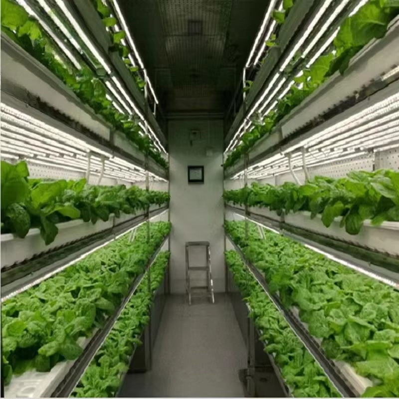 Custom Agricultural Greenhouse - Hydroponic Farming Agriculture recension och pris