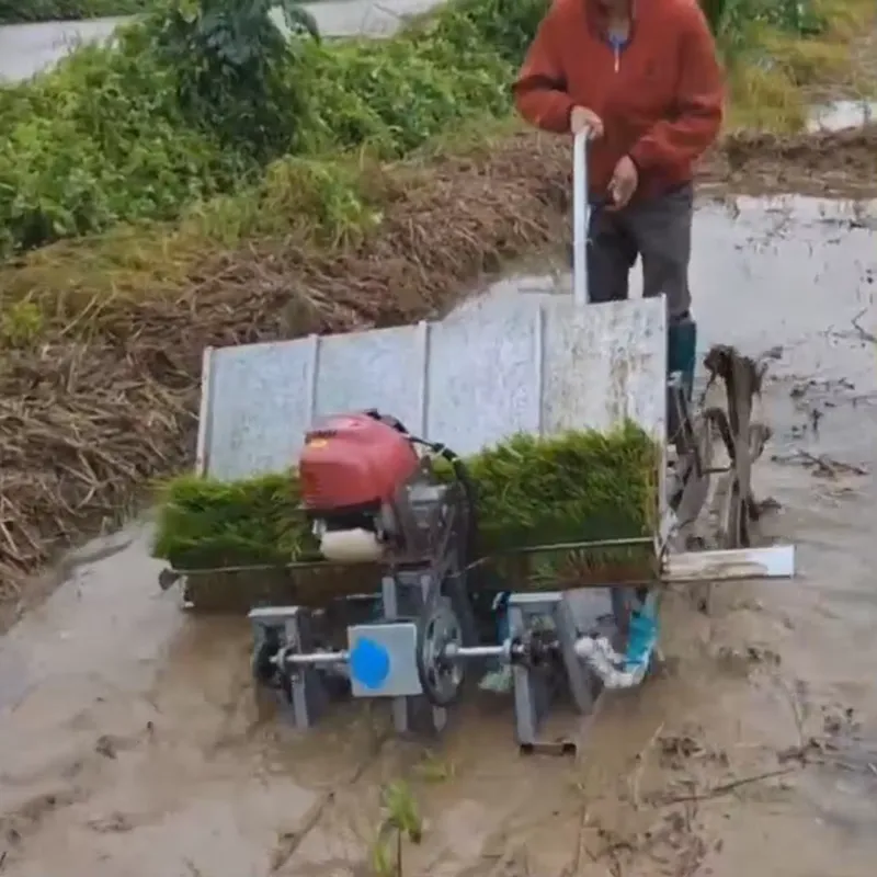 4-Row Manual Agricultural Equi - Agriculture Farming Rice recension och pris