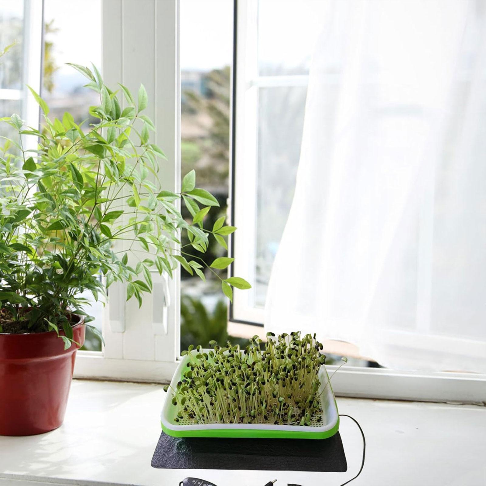 Hydroponic Heat Mat for Seedli - Seedling Heat Mat recension och pris