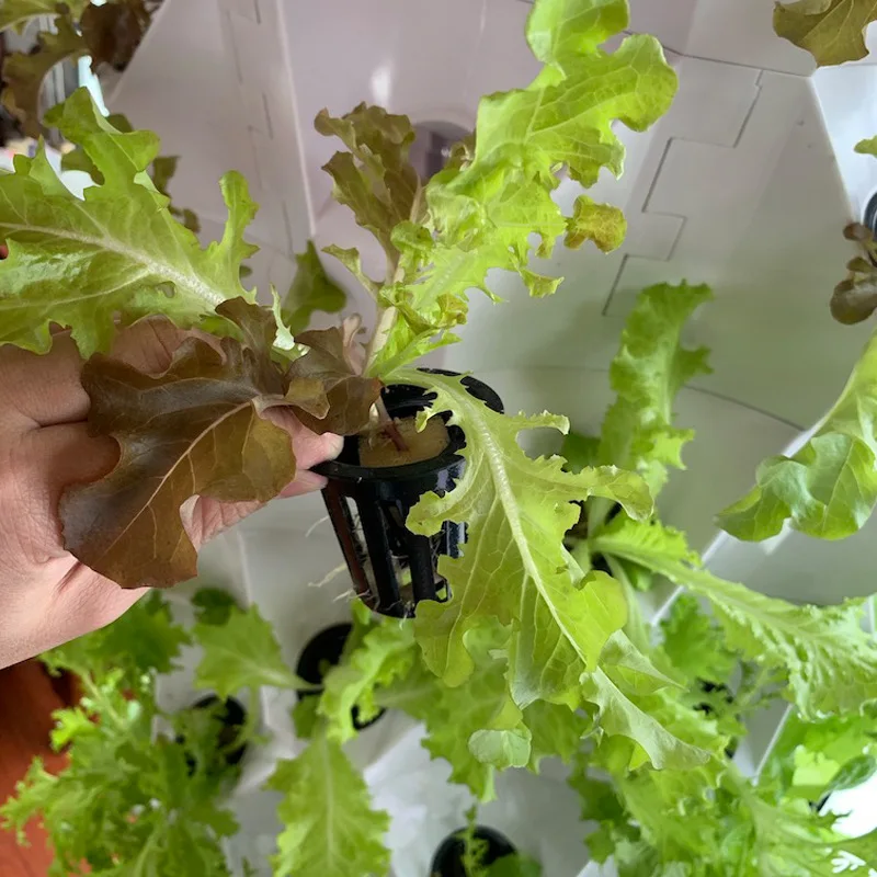 Agricultural Greenhouses Verti - Hydroponic Farming Agriculture recension och pris