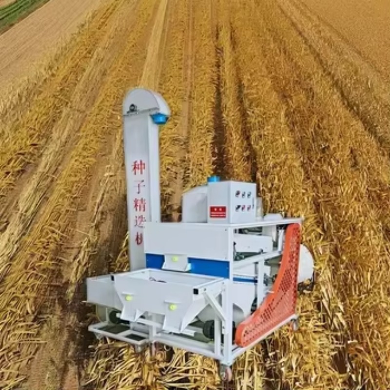 Agricultural High-quality Whea - Agriculture Farming Rice recension och pris