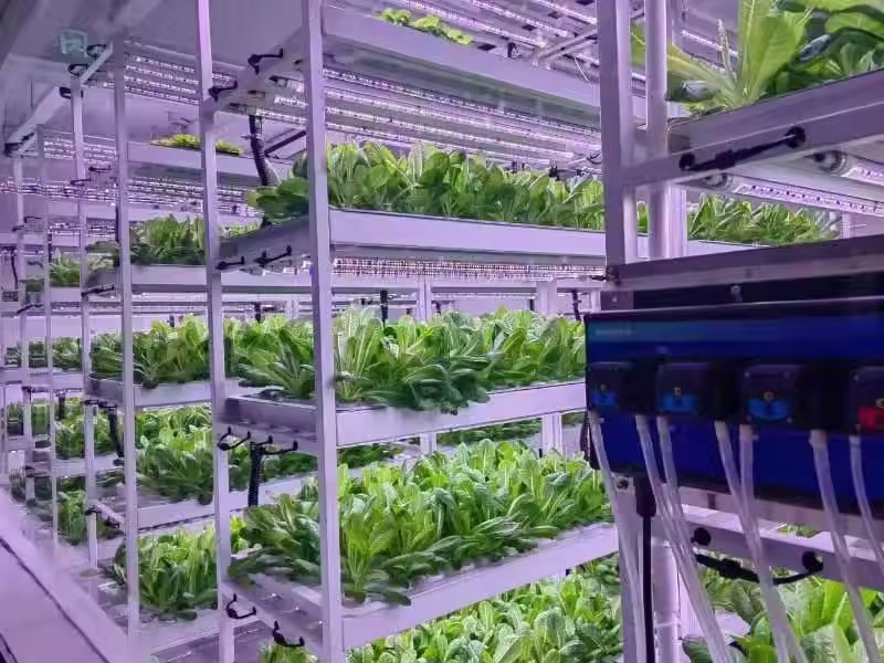 Vertical Farm Hydroponic Tower - Hydroponic Farming Agriculture recension och pris