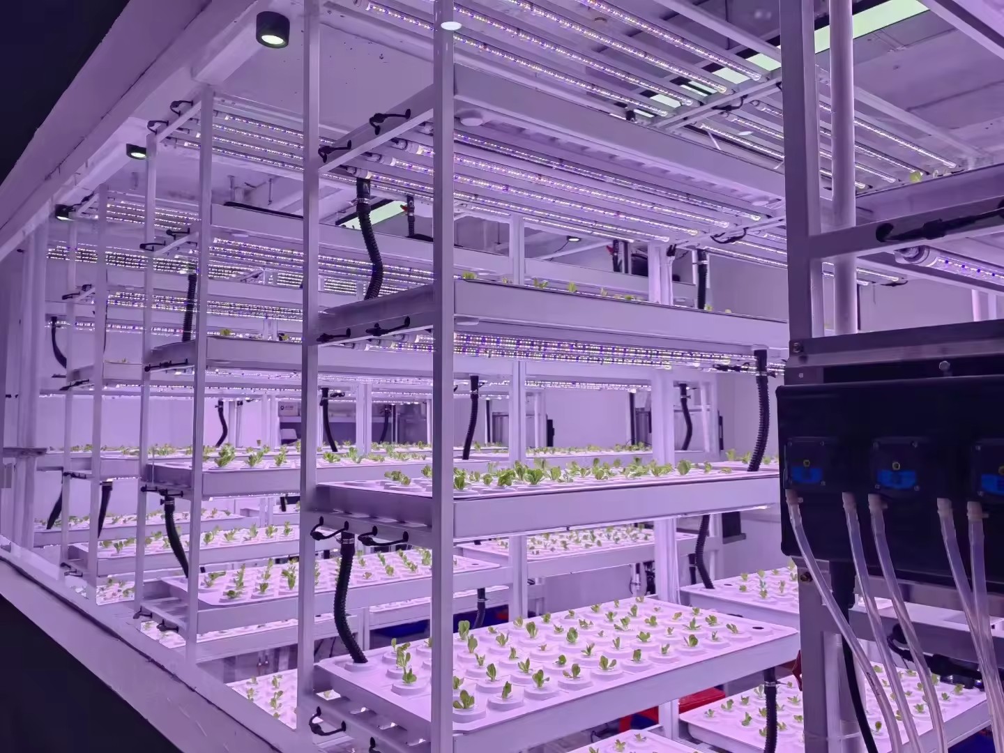 Vertical Farm Hydroponic Tower - Hydroponic Farming Agriculture recension och pris