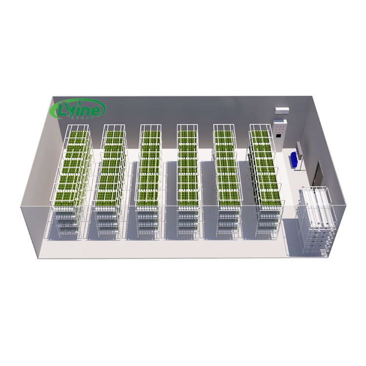 Agricultural Greenhouses Lettu - Hydroponic Farming Agriculture recension och pris